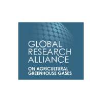 Industry > Farming and Agriculture webinar by Global Research Alliance for Stacking 4R practices with conservation agriculture to mitigate nitrous oxide emissions