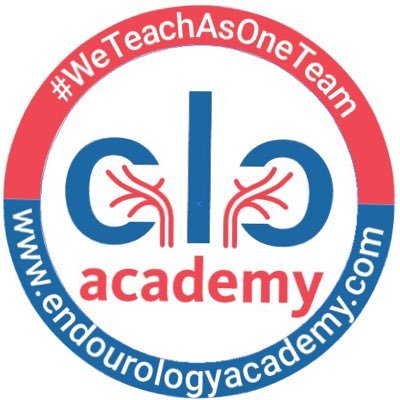 Healthcare webinar by Endourology Academy for New game changers in RIRS : How to choose the correct technology